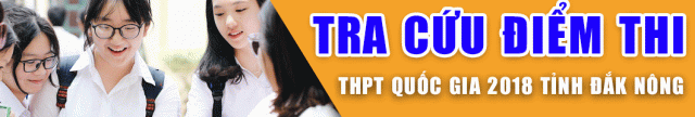 http://diemthi.daknong.edu.vn/